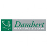 Dambert